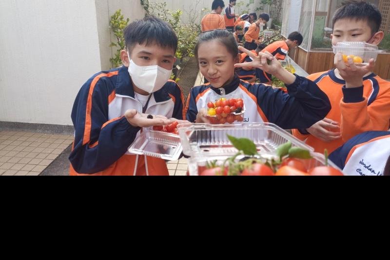 實踐綠色生活